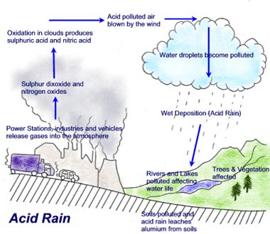 acid rain diagram effects worksheet weathering cause causes solutions effect chemistry research clean process google paper worksheets environment carbon problems